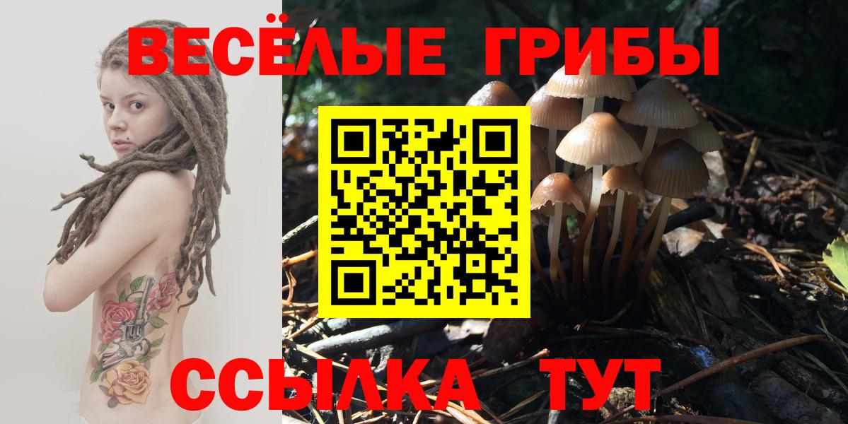 Псилоцибиновые грибы мицелий  Псилоцибиновые грибы прущие грибы  Вход с VPN  Большой Камень 